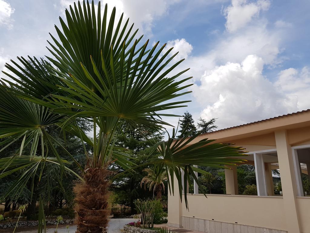 Villa Venus Woods Martina Franca Ngoại thất bức ảnh